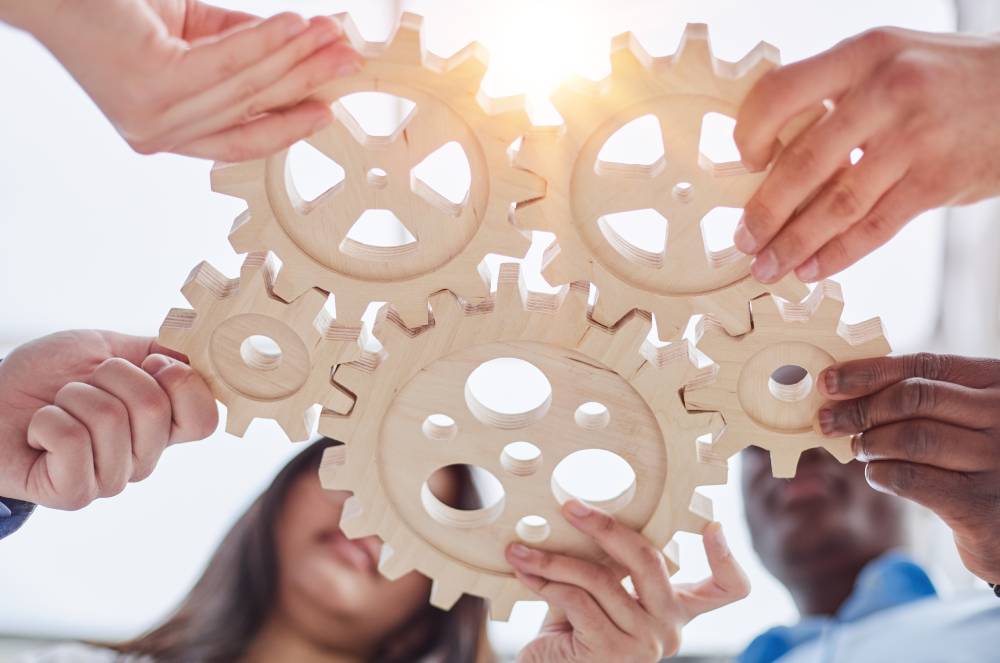 Sinergia de equipe: como diferentes habilidades criam resultados excepcionais